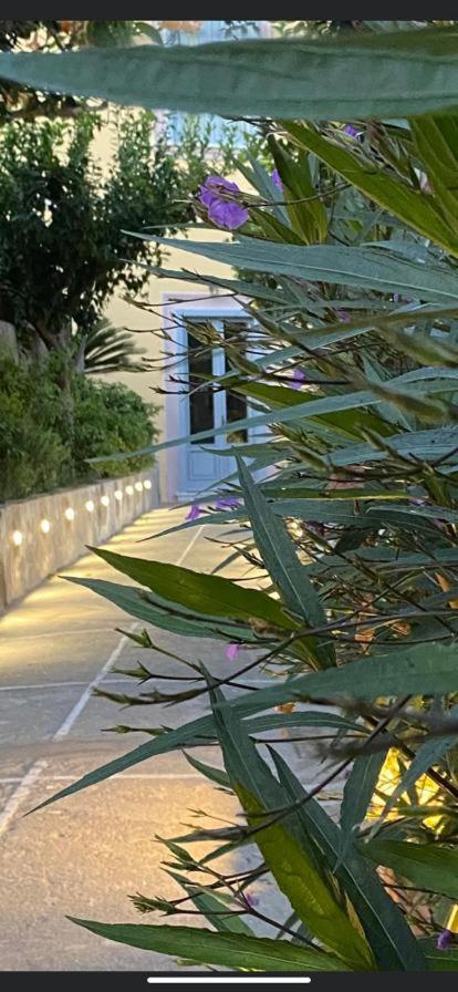 Bed and Breakfast Palazzo Bonaventura 1906 Forio di Ischia Zewnętrze zdjęcie