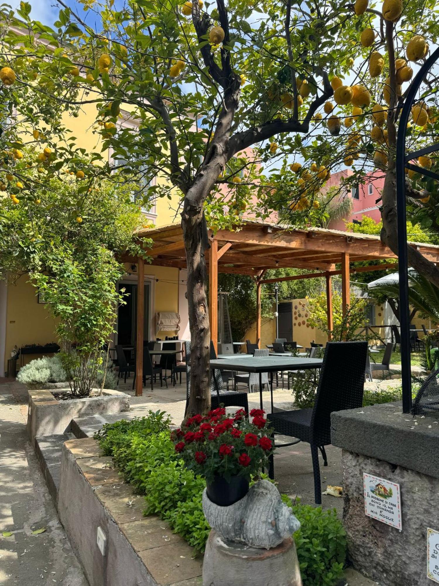 Bed and Breakfast Palazzo Bonaventura 1906 Forio di Ischia Zewnętrze zdjęcie